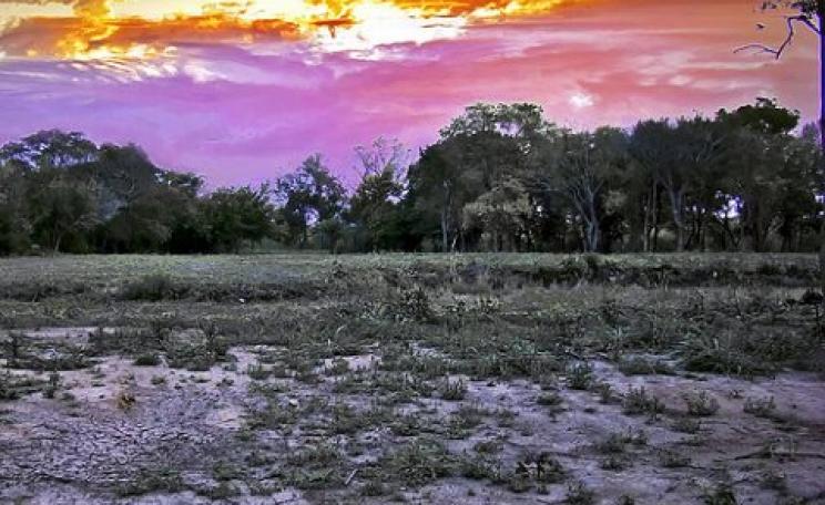 Drought under a torrid sky in Santa Fe, Argentina. Photo: Claudio.Ar via Flickr.