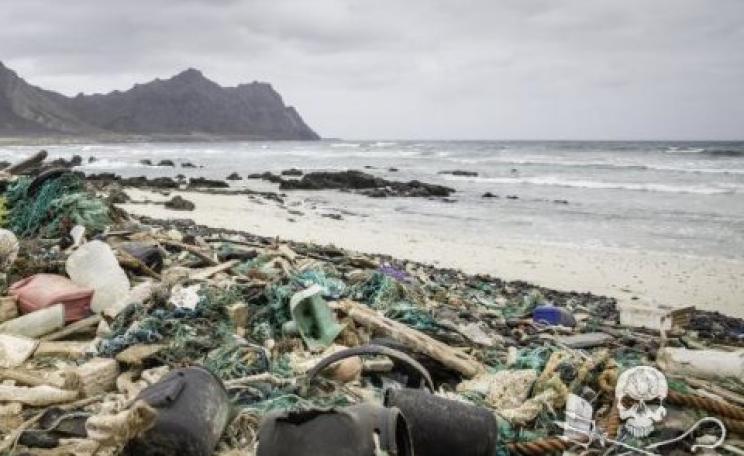 The garbage that builds up incessantly on the Praia de Achados beach presents formidable obstacle to loggerhead turtles seeking nesting sites. Photo: Simon Ager / Sea Shepherd.