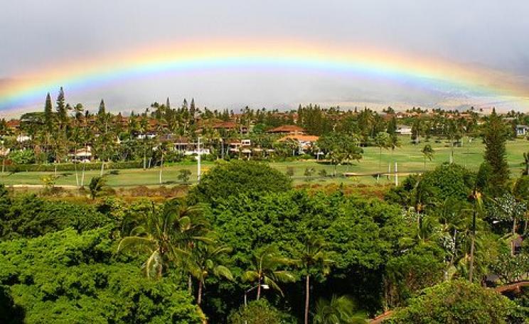 Maui: way too great to ravage with GMOs and associated agrochemicals. Photo: Randy Robertson via Flickr.