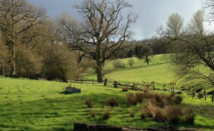 Never mind the drinking water aquifers and the national park - the South Downs is one of England's most cherished landscapes that could be opened up for fracking. Photo: Jaydee! via Flickr.