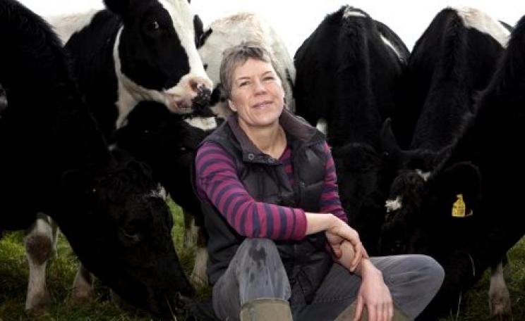 Helen Browning, chief executive of the Soil Association, among her organic cattle. Photo: Soil Association.