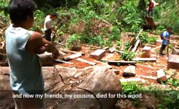 'And now my friends, my cousins, died for this wood.' Photo: still from 'Our Fight' by Handcrafted Films.