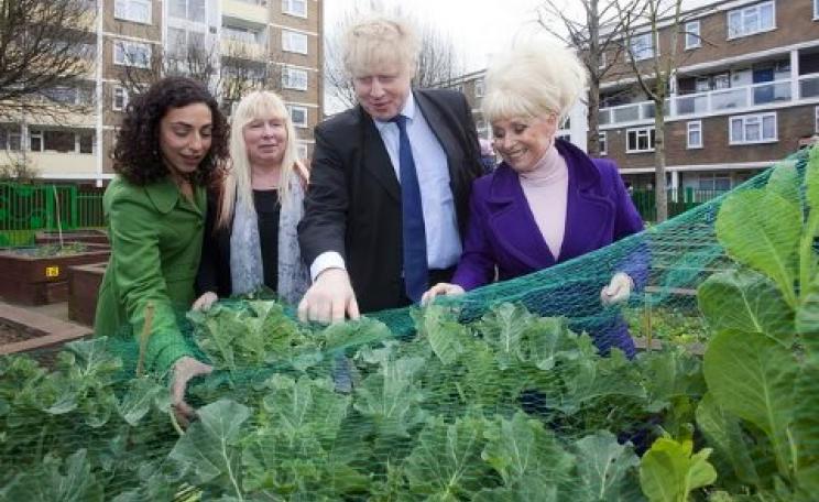 London Mayor Boris Johnson and actress Barbara Windsor enjoy a street party in Tower Hamlets with the Rocky Park Urban Growers - a local project to plant vegetables and transform a neglected space in the community.