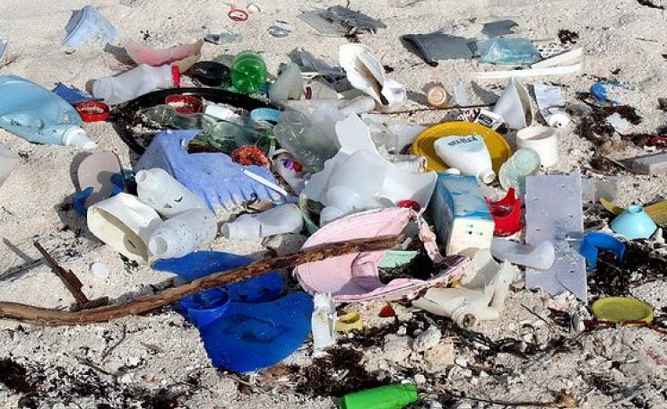 Plastic waste on the 'Mayan Riviera', Quintana Roo, Mexico. Photo: John Schneider via Flickr (CC BY-NC 2.0).