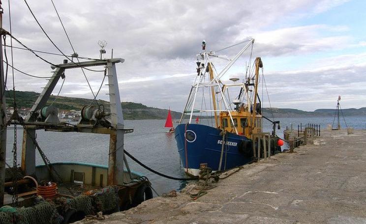Small fishing boats at Lyme Regis, Dorset, where England's first big marine Protected Area was designated. Photo: Sue Hasker via Flickr (CC BY-ND).