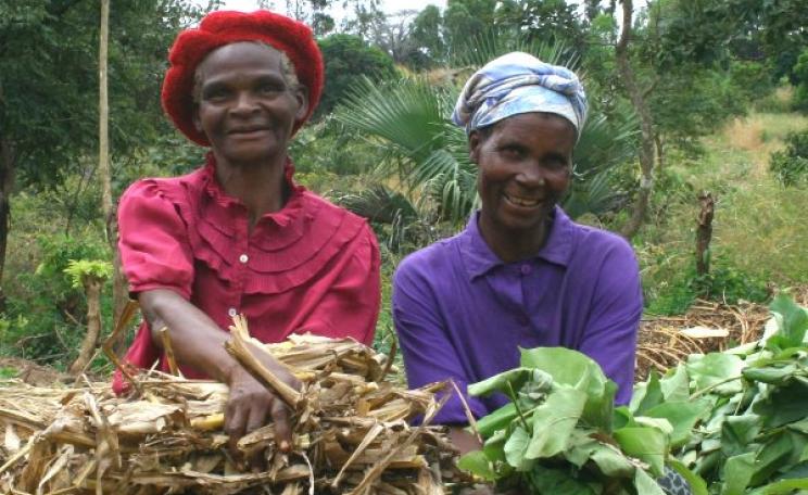By learning skills like composting, crop diversification, organic pesticide production, seed multiplication and agro-forestry farmers in Malawi are increasing their ability to feed their families over the long term. Photo: Find Your Feet via Flickr (CC BY