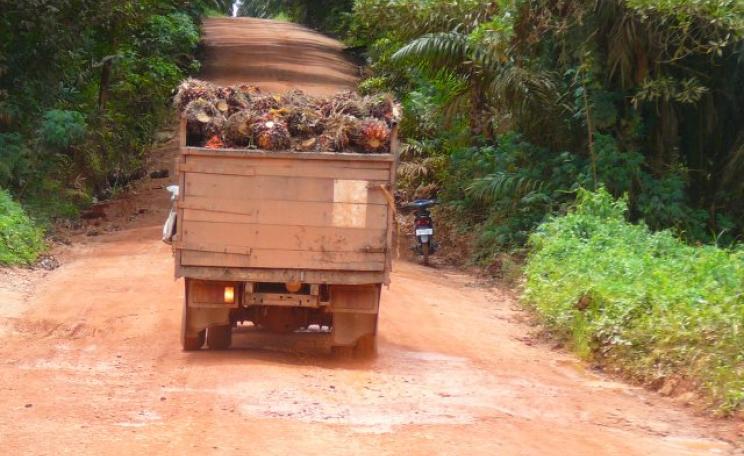 A truck carries palm fruit for processing from a rainforest plantation in Indonesia. Photo: Rainforest Action Network via Flickr (CC BY-NC).