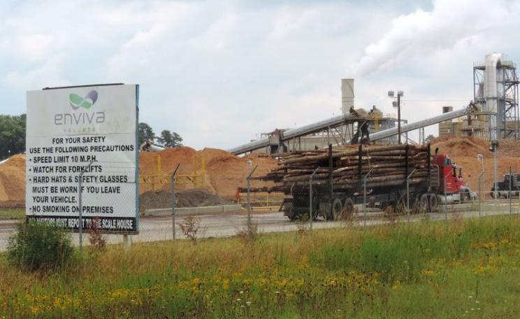A truck pulls into the Enviva Ahoskie wood pellet plant that supplies Drax power station, loaded with whole trees. Photo: Dogwood Alliance.