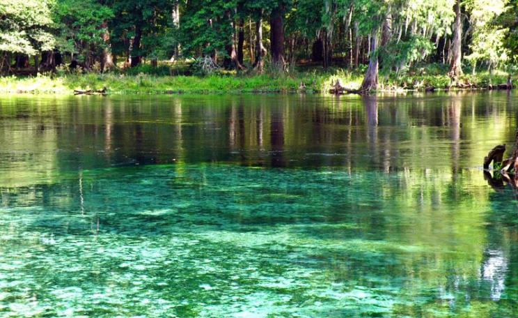 Devil's Springs in the Florida Everglades, where a deep crevice leads to submerged caverns. Photo: Phil's 1stPix via Flickr (CC BY-NC-SA).