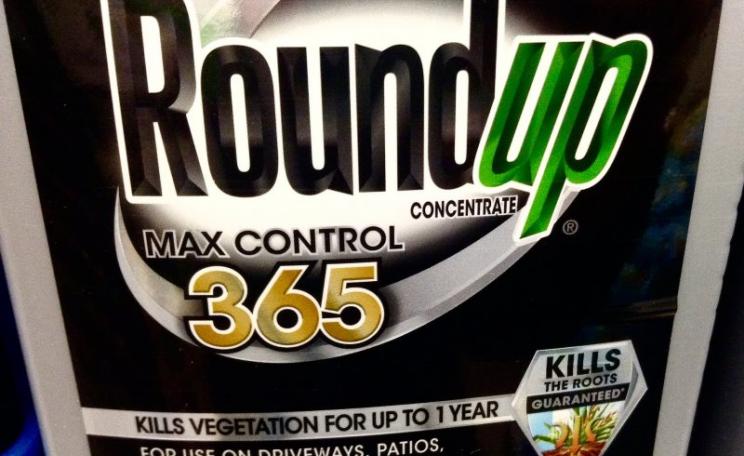 It's toxic, and Monsanto knew it as long ago as 1981. Photo: Mike Mozart via Flickr (CC BY).