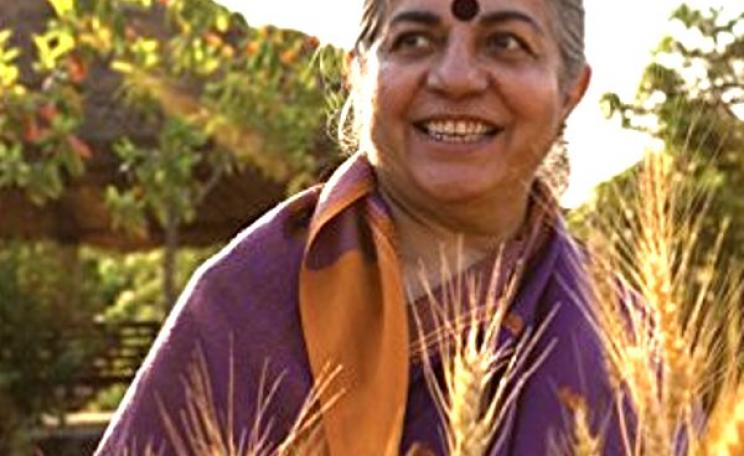 The Vandana Shiva Reader (Culture Of The Land), front over (cut).