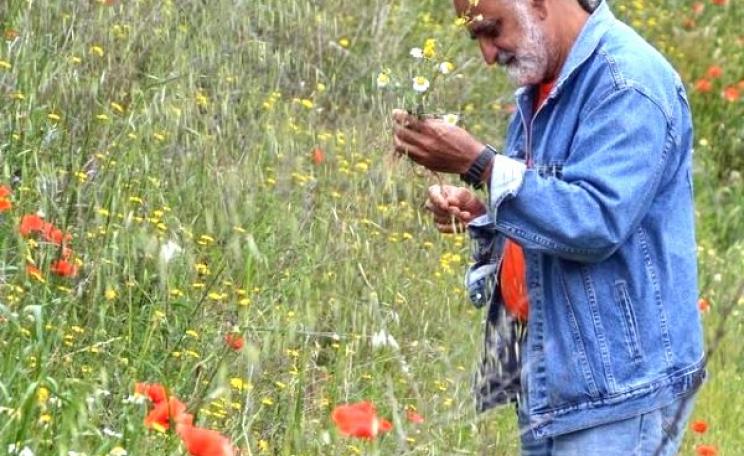 Jairo Restrepo among the wild flowers of Spain. Photo: JuanFran Lopez.