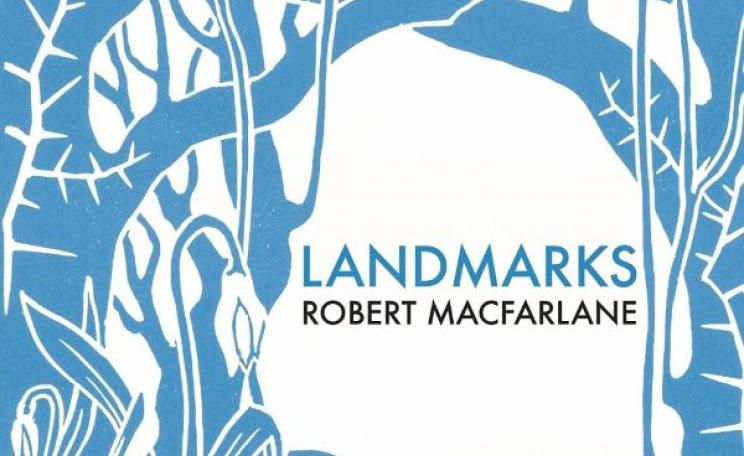'Landmarks' by Robert MacFarlane from cover (cut).