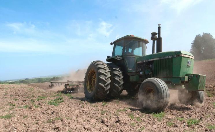A tractor prepares a field by turning over the cover crop into the soil in preparation for planting at Leafy Greens, in the Salinas Valley, California, June 2011. Cover crops of barley and rye grass hold the topsoil, reducing erosion. Photo: Lance Cheung