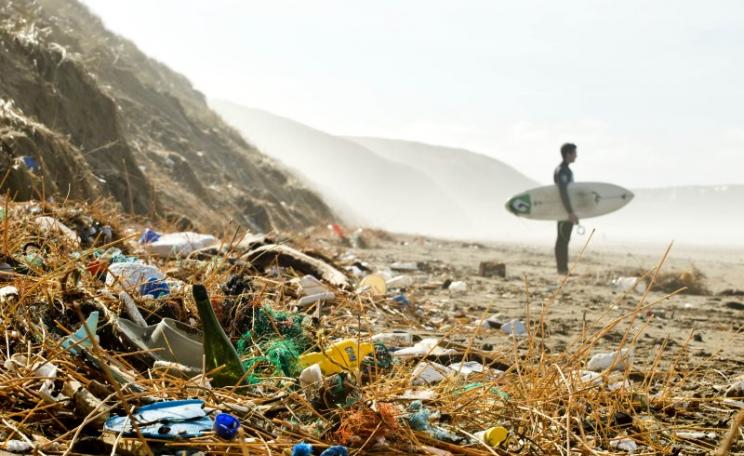 A lone surfer stands on a plastic strewn beach. Photo: SAS.