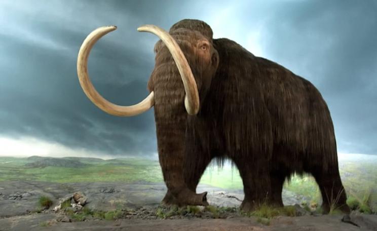 There's a mammoth surprise lurking in the permafrost: 1,700 billion tonnes of frozen carbon. Let that go and the world's climate may never be the same. BC Museum Photo: Tyler Ingram via Flickr (CC BY-NC-ND).