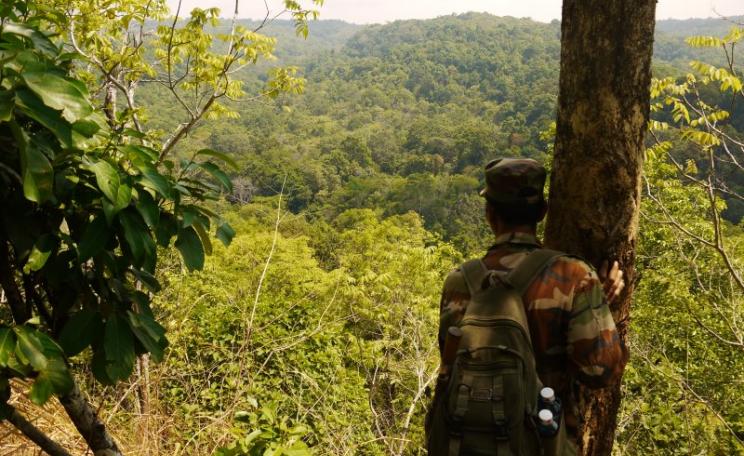 A guard admires a rainforest vista near Elephant Valley. Photo: William F. Laurance.