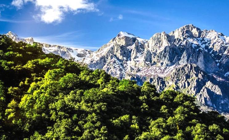 'Diagonal Nature' - Picos de Europa, Asturias, Spain. Photo: Pablo Fernández via Flickr (CC BY-NC-ND).