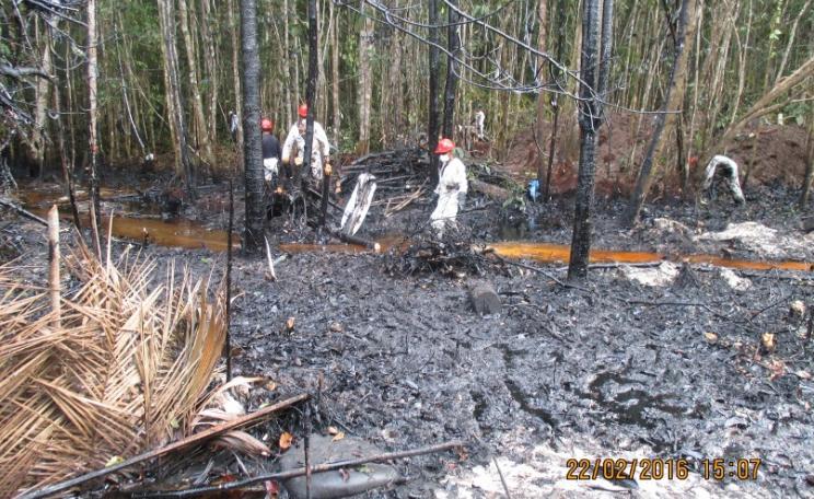 The land contaminated by the oil spill in Mayoriaga. Photo: Forest Peoples Programme