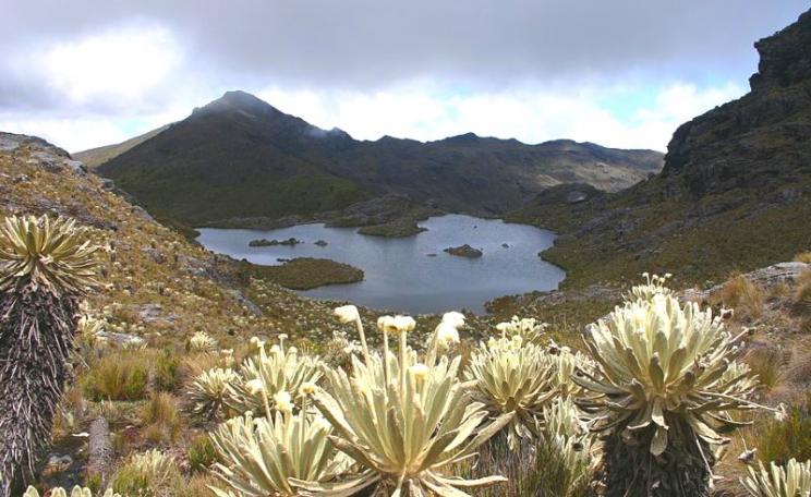 At risk - Laguna Verde in Paramo Santurban, Colombia. Photo: Grupo Areas Protegidas CORPONOR via Wikimedia Commons (CC BY-SA).