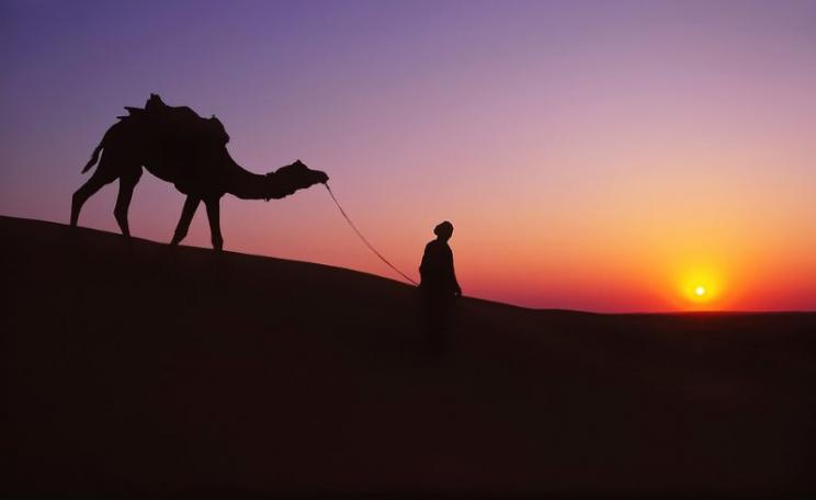 The Thar desert in Rajasthan, India. Photo: Nick Kenrick via Flickr (CC BY-NC-SA).