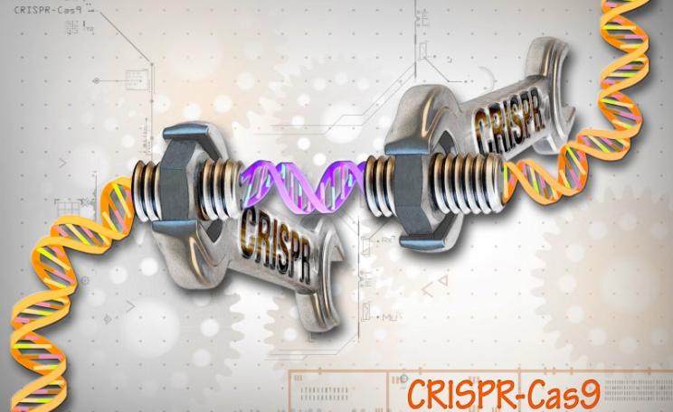 Image of CRISPR / Cas9. Image: NHGRI. via ja.wikimedia.org (Public Domain).