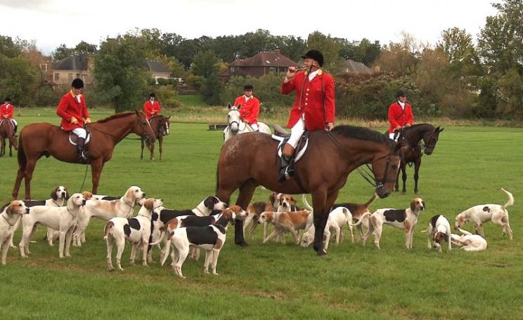 Photo of Fox hunt by TownePost Network via Flickr (CC BY).