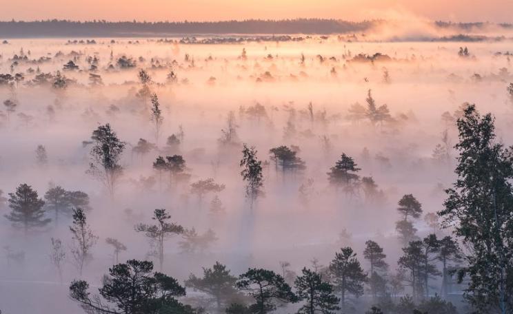 September sun rising over foggy wetlands, Ķemeri National Park, Latvia - part of the 'Natura 2000' territory designated under EU nature laws for its biological diversity, the unique Ķemeri Moorland, various ecosystems, and springs of mineral and curativ