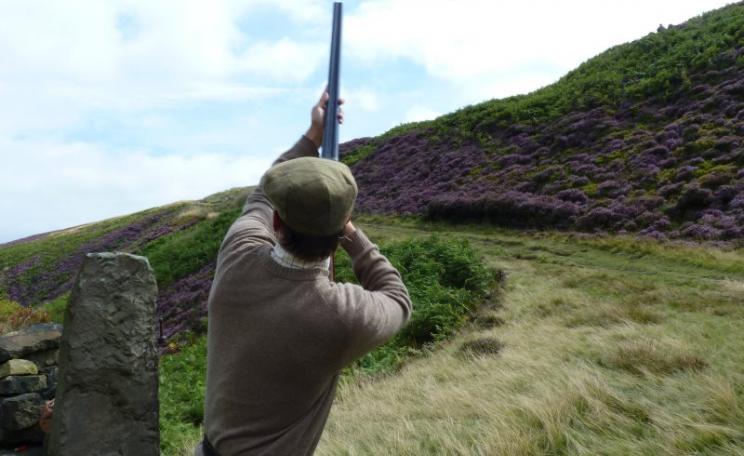 Shooting grouse in Holmfirth, West Yorkshire. Photo: Richard Woffenden via Flickr (CC BY).
