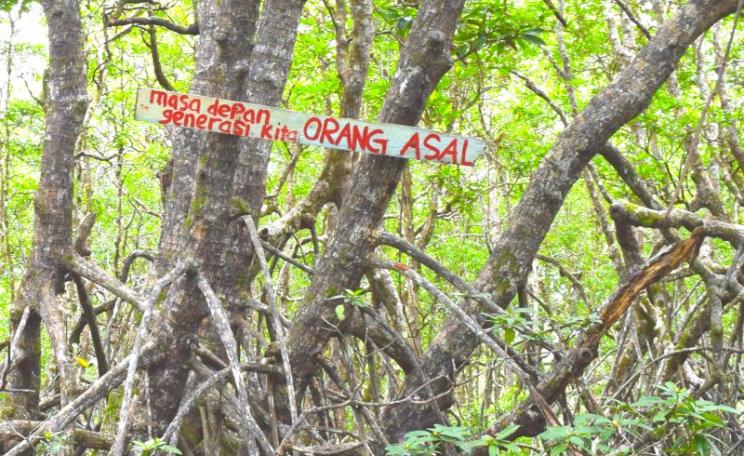 Local communities in Pitas are monitoring the area in order to prevent the project from expanding into the remaining 1,000 acres of mangrove forest. The sign reads: Future for indigenous peoples. Photo: Camilla Capasso / FPP.