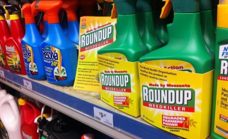 Bottles of Monsanto's Roundup weedkiller relabeled by Global Justice Now activists, April 2016. Roundup contains glyphosate, a chemical that the WHO classifies as 'probably carcinogenic'. Photo: Global Justice Now via Flickr (CC BY).