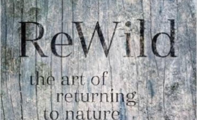 Rewild: The art of returning to nature is now available in hardback.
