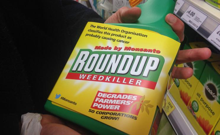 Activists have relabelled bottles of Monsanto's Roundup weedkiller in garden centres and DIY shops across the UK. Roundup contains glyphosate, a chemical that the WHO has shown to be "probably carcinogenic". (c) Global Justice Now