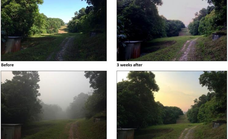 Photographs taken before, during and after the El Nino charged forest fires in Southeast Asia.