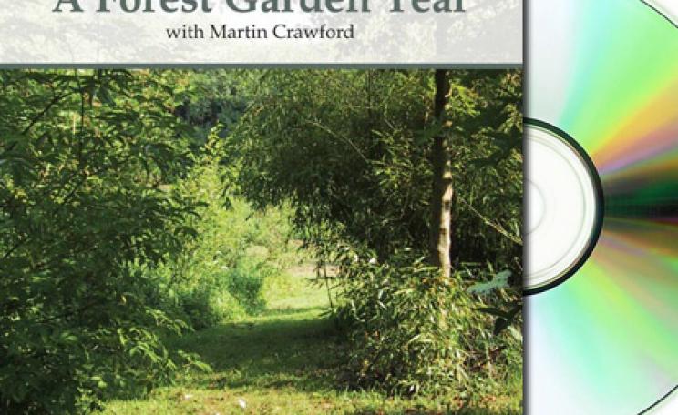 A Forest Garden Year DVD