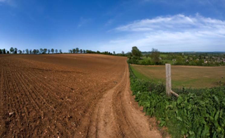 A ploughed field