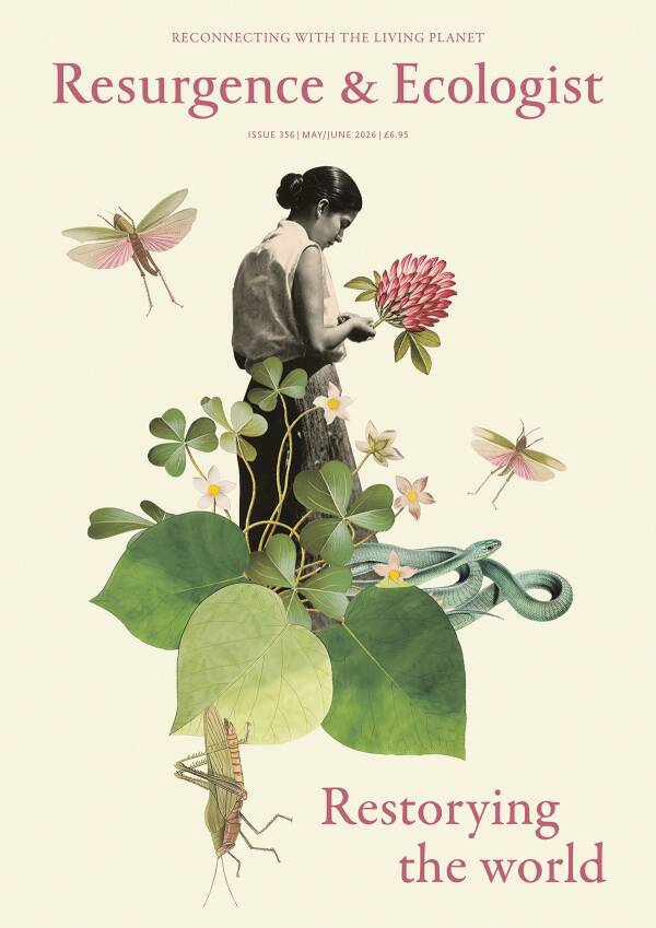 Cover of issue 356 of Resurgence & Ecologist magazine