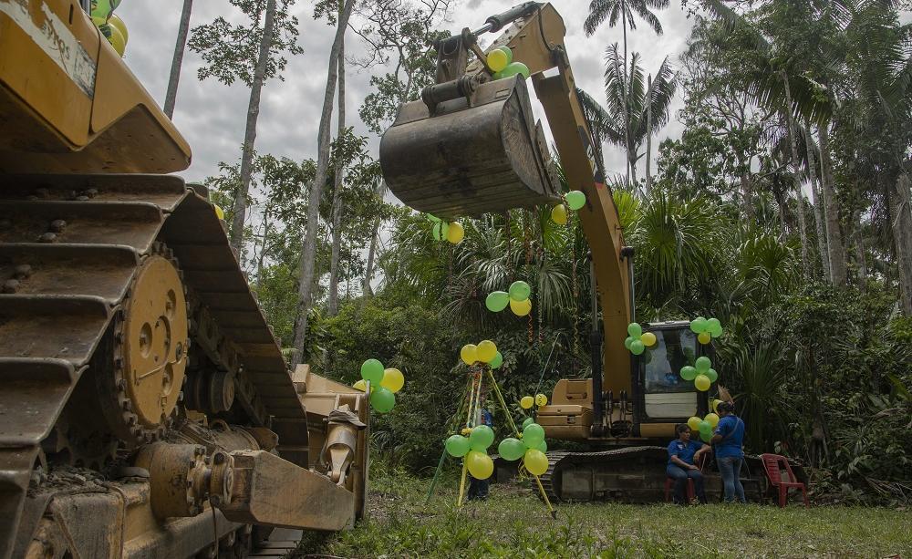 Loggin in Manu national park