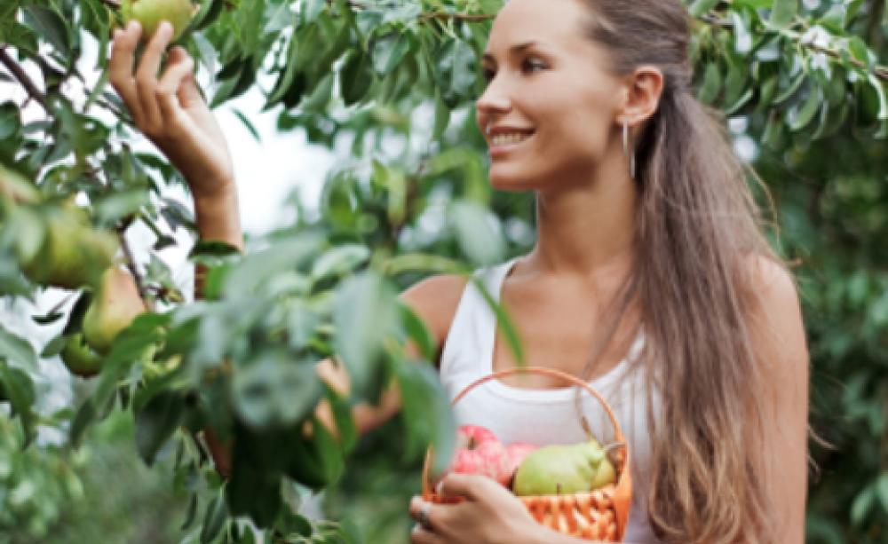 picking fruit