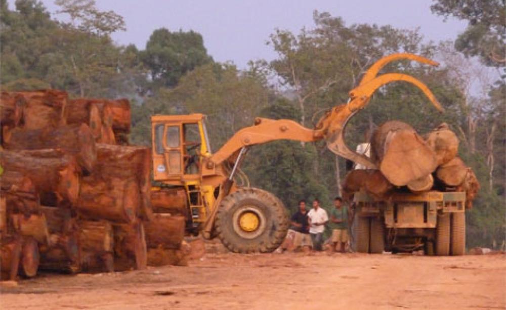 Laos Vietnam timber