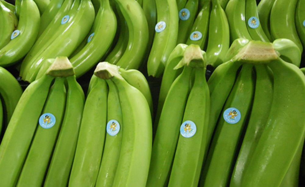 Top Banana 2
