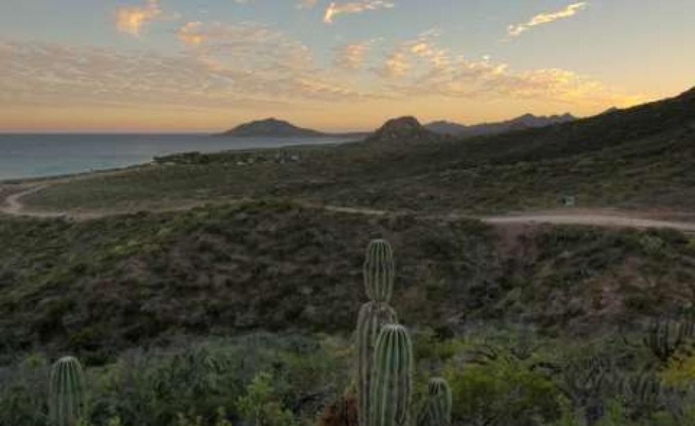 Cabo Pulmo, in its current, concrete-free incarnation. Alan Harper, CC BY-NC.