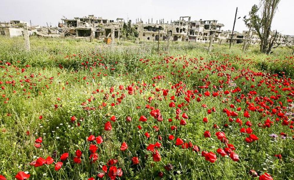 The destroyed Bab Amro neighbourhood of Homs through a blooming field of poppies, 2nd May 2012. Photo: Freedom House via Flickr (CC BY 2.0).