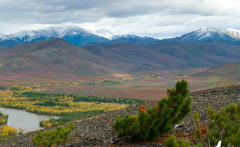 Scientists had thought that Arctic rivers like the Kolyma in Siberia carry dissolved carbon from melting permafrost to the oceans. They were wrong - it's all emitted to the atmosphere as CO2. Photo: Магадан via Flickr (CC BY-NC-SA).
