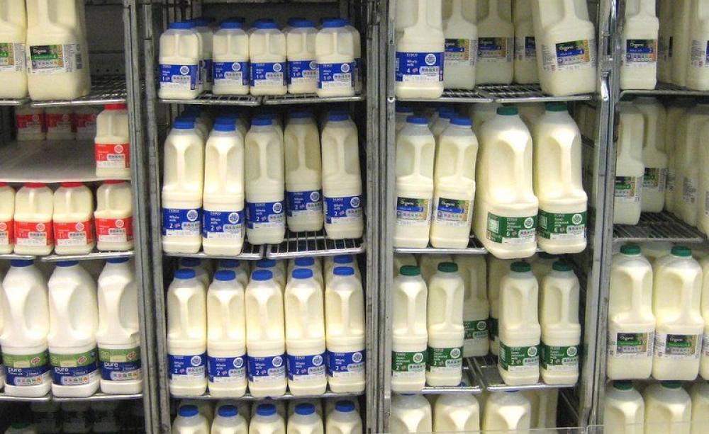 If it's not organic, milk in UK supermarkets is almost all from cattle fed GMOs in their feed. Photo: Echoplex7 via Flickr (CC BY-NC-ND).