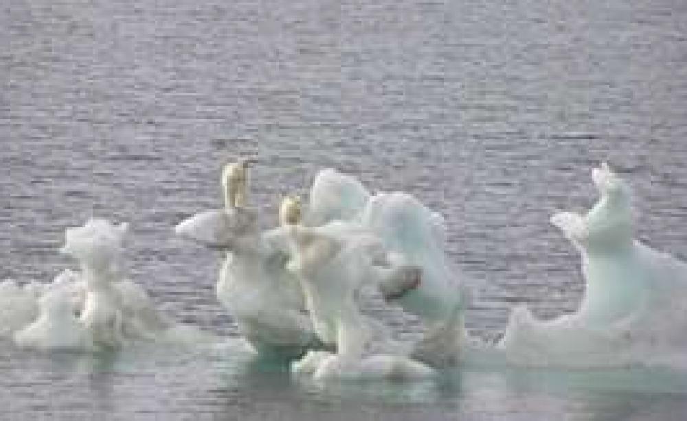 VANISHINGARCTIC_OCT07-_MA.jpg