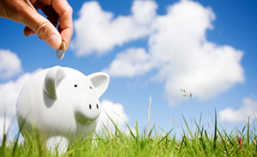 Making greener savings