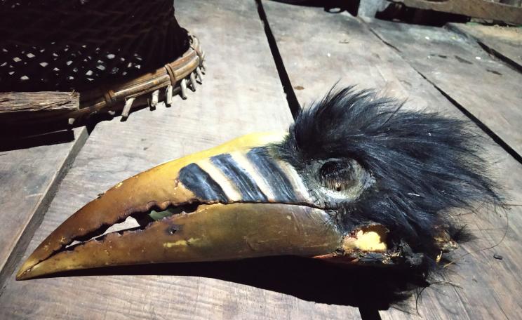 Head of a hornbill 