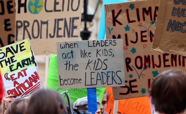 School climate strike placards