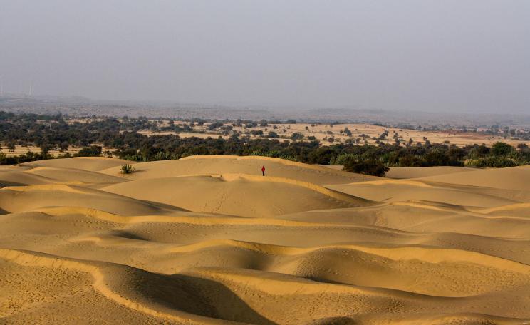 Thar Desert
